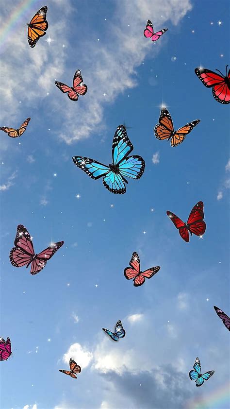 Colorful Butterfly Backgrounds