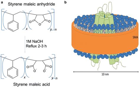 Detergent-Free Membrane Protein Purification | SpringerLink