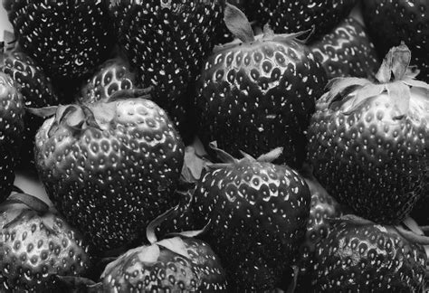 Free Images : berry, black and white, close up, delicious, food, fresh ...