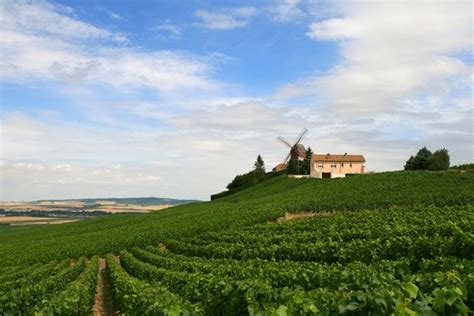 France Wine Tours France is the most visited country in the world. Each ...