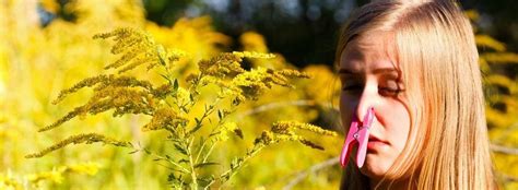 Pollen Allergies in Georgia, Types - Advanced Allergy of North GA