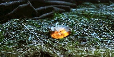 Outlander: What The Dragonfly In Amber Means Explained