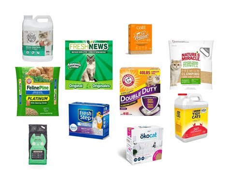 What are the best brands of cat litter? | The Cat Litter Expert