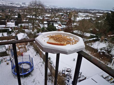 Bird Table in the Sky | A bird table, made from the packagin… | Flickr