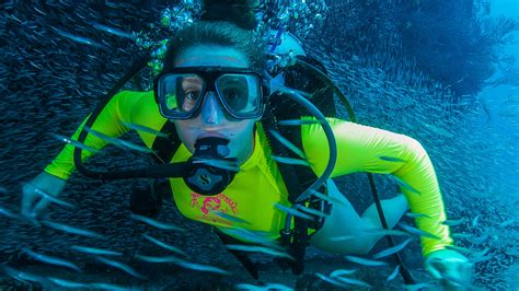 Scuba diving: 10 best places to dive without leaving the US