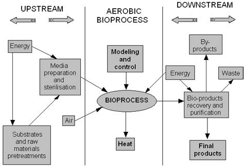 Characteristic flow chart for biotechnology centred on bioprocess 3 ...