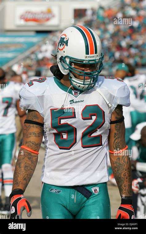 Channing Crowder in action during the game between the Miami Dolphins ...