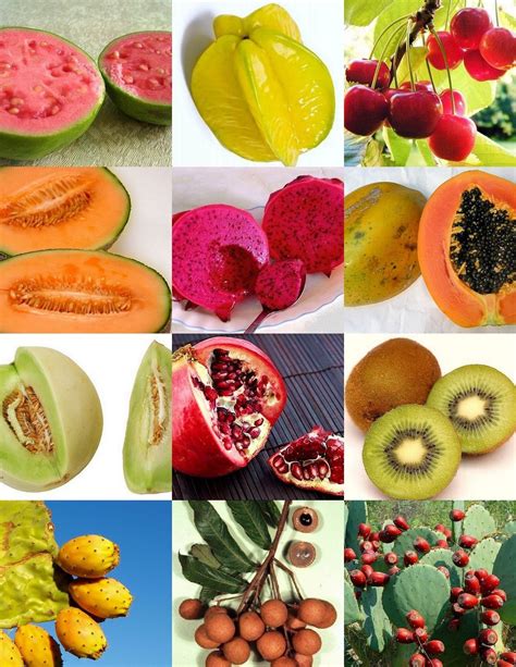 Buy EXOTIC TROPICAL FRUITS MIX sweet edible tree fragrant fruit seed 100 Online at desertcartKenya