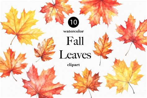 Fall Leaves Clip Art Watercolor Fall Clipart (2780000)