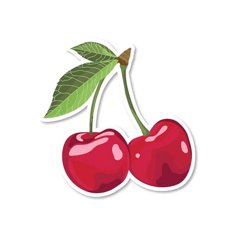 Red Cherry Sticker Fruit Vinyl Stickers Waterproof Sticker - Etsy