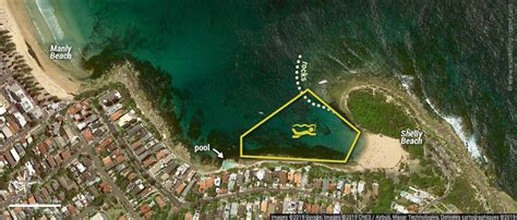 Snorkeling Shelly Beach, Manly | Snorkeling Cabbage Tree Aquatic Reserve