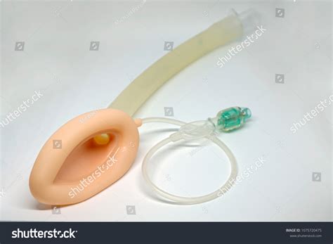 153 Laryngeal mask airway Images, Stock Photos & Vectors | Shutterstock