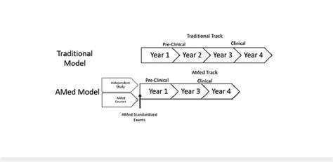 Standard medical school and AMed three-year medical school curriculum... | Download Scientific ...