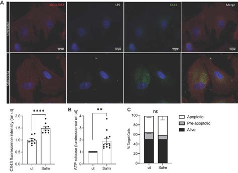 Figure 1 from A Target Animal Effectiveness Study on Adjuvant Peptide-Based Vaccination in Dogs ...