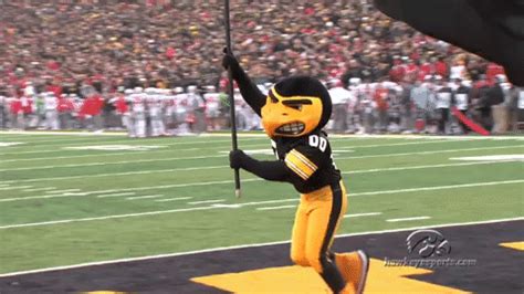 University Of Iowa GIFs - Get the best GIF on GIPHY