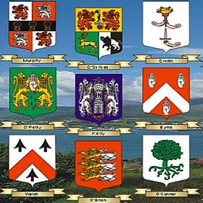 100 Irish surnames explained,Irish Genealogy,Irish coats of arms,How to ...