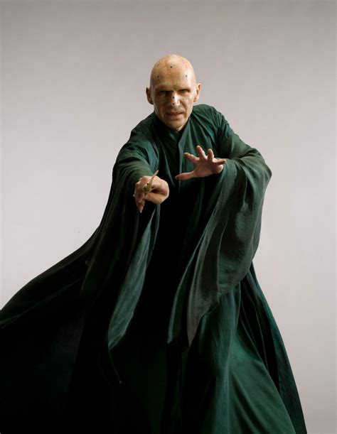 Portrait of Lord Voldemort — Harry Potter Fan Zone