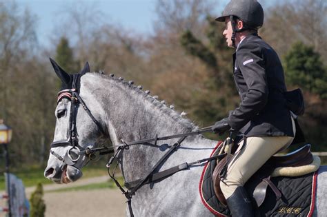 Grey Horse - Show Jumping Stock 8.13 by MagicLecktra on DeviantArt