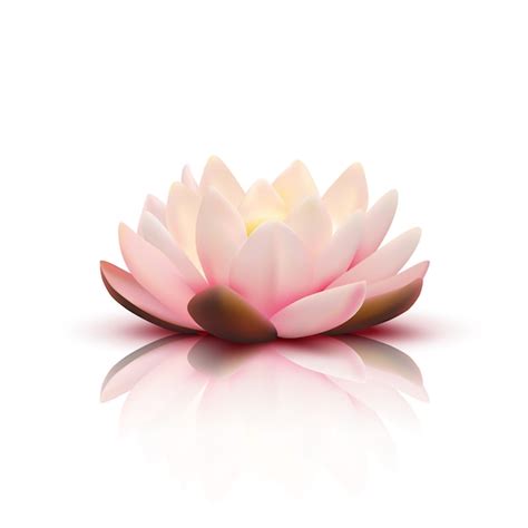 Light Pink Flower Vector Background | Best Flower Site