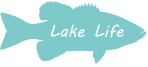 Lake Life Blog » What's Happening at Rocky Fork Lake