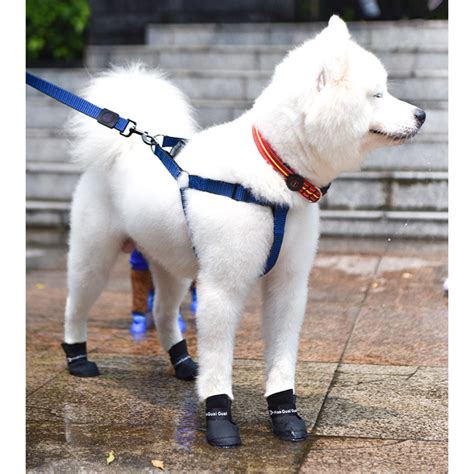 Dog Rain Boots Rubber Waterproof Dog Boots Shoes