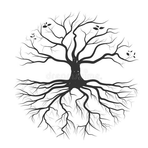 Tree Roots Silhouette Stock Illustrations – 5,410 Tree Roots Silhouette ...