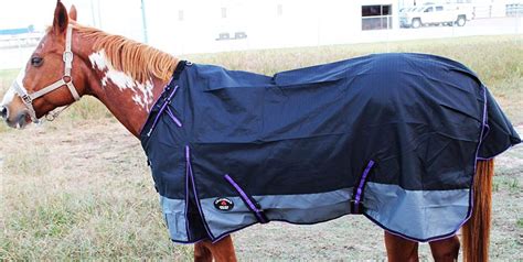 Top 10 Cheap Horse Rain Sheets 2018 - Best Horse Blankets