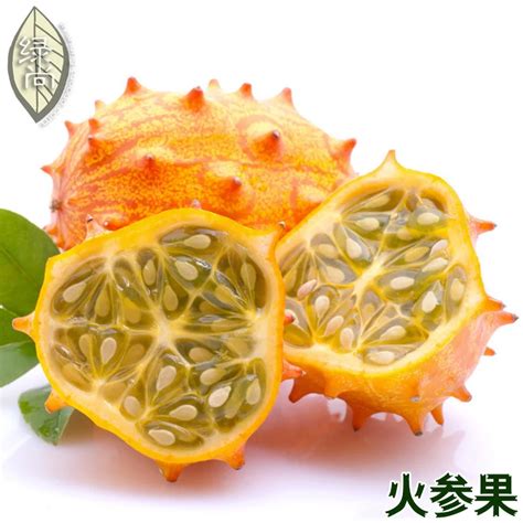 Imported Fire Martian Fruit Sea Cucumber Fruit Honeydew Melon Melon bonsai 20pcs-in Bonsai from ...