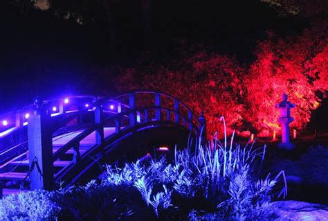 Maymont to light up Japanese Garden for night-time Garden Glow | Entertainment | richmond.com