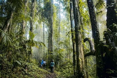 Island Fever: A Lifelong Obsession with the Andaman and Nicobar Islands ...