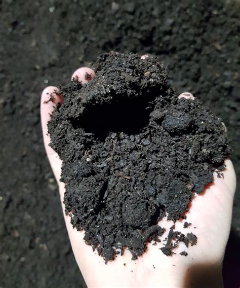 Mushroom Compost – Bulk – The Coal Shop