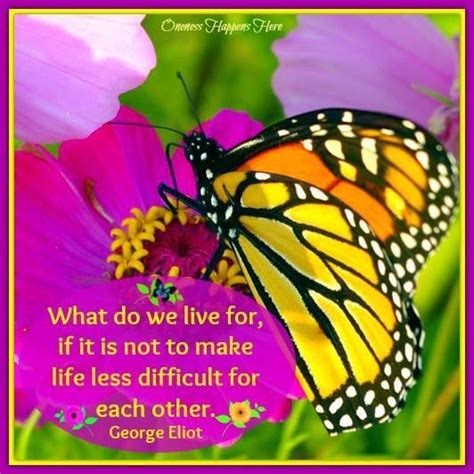 Pin by KeepingKevin on Inspirational Quotes | Beautiful butterflies ...