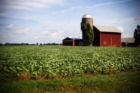 Illinois Farm stock image. Image of weeds, rural, farm - 977061