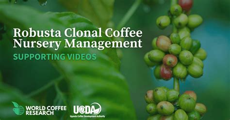 World Coffee Research | Robusta Clonal Coffee Nursery Management:…