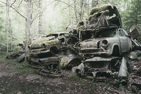 Eerie pictures show desolate car graveyard where hundreds of vehicles are being slowly reclaimed ...