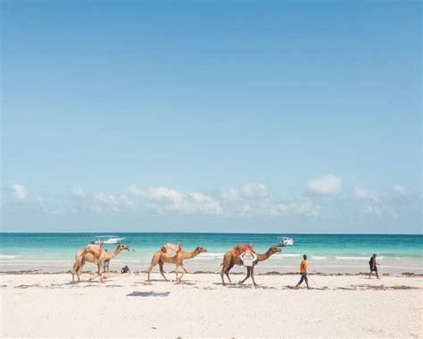 10+ Epic Things to Do in Diani Beach, Kenya