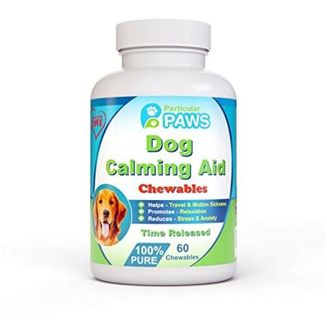 Top 15 Best Dog Anxiety Medications for Calming Dogs in 2017