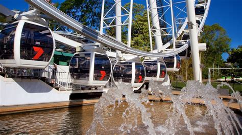 Wheel of Brisbane Tours - Book Now | Expedia