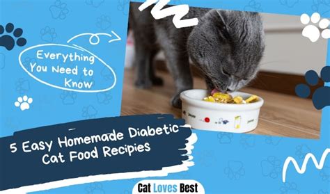 5 Easy Homemade Food for Diabetic Cats (Vet Approved)