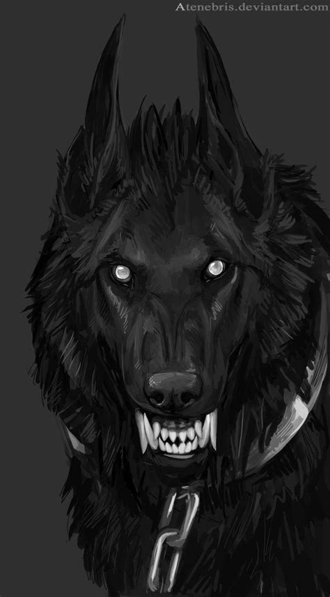 Scary Wolf Drawing at PaintingValley.com | Explore collection of Scary Wolf Drawing