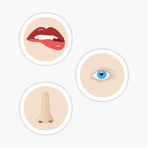 "Lips Eyes Nose" Sticker by designsisabelle | Redbubble