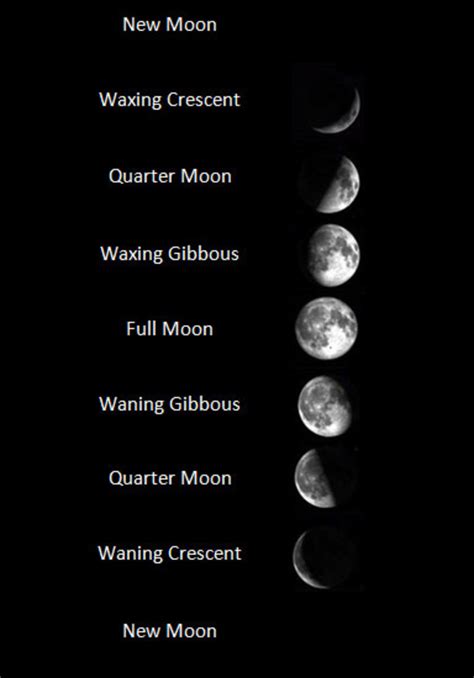 Astronomy for Kids: Learn About the Phases of the Moon | HubPages