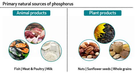 Vitamin B9 Natural Sources | Sources Of Phosphorus In Food