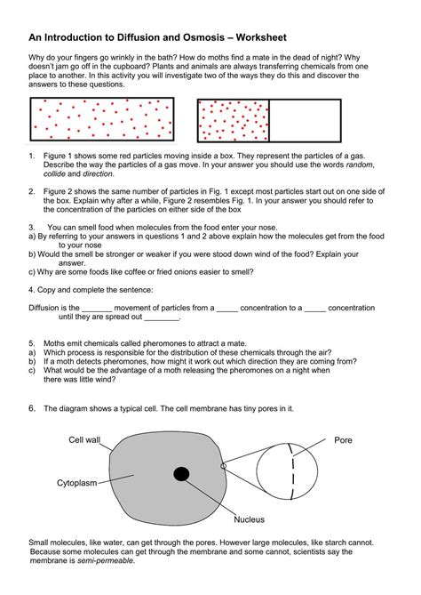 Diffusion and Osmosis Worksheet Diffusion and Osmosis Worksheet 2 ...