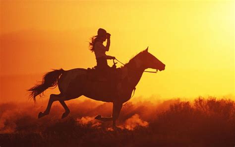 Horse Riding Wallpapers - Top Free Horse Riding Backgrounds ...