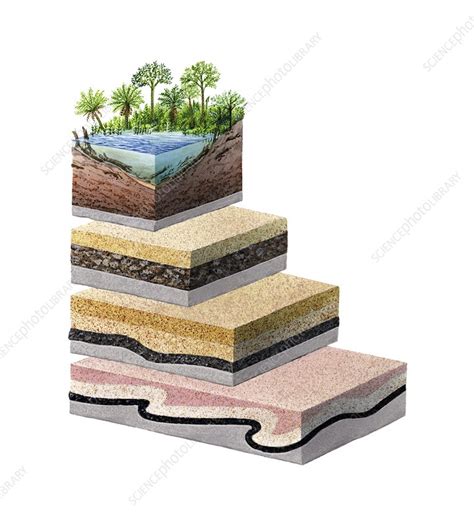 Coal formation - Stock Image - E415/0205 - Science Photo Library