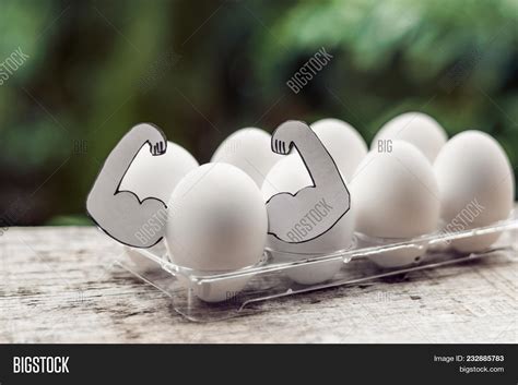 Egg Muscles, Concept Image & Photo (Free Trial) | Bigstock