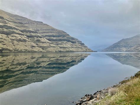 Upcoming Talk 01.11.24 | Restoring Steelhead Habitat