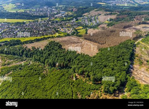 Aerial view, Arnsberg forest, forest area with forest damage in ...