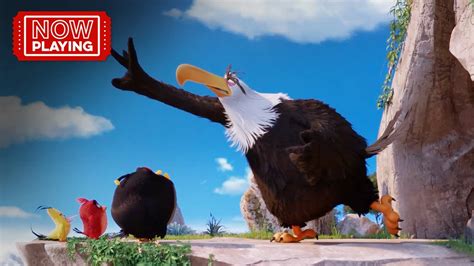 The Angry Birds Movie | Finding Mighty Eagle - YouTube